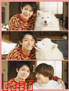 爱你汪汪：跨越物种的暖恋