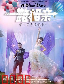 一路相亲：笑中有泪的寻爱之旅