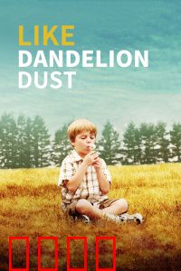 像蒲公英的灰尘：归属与抉择