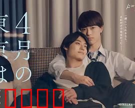 4月的东京…：樱花下的告别