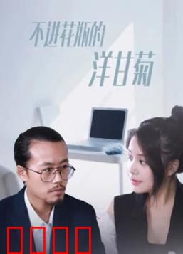 不进花瓶的洋甘菊：野性绽放