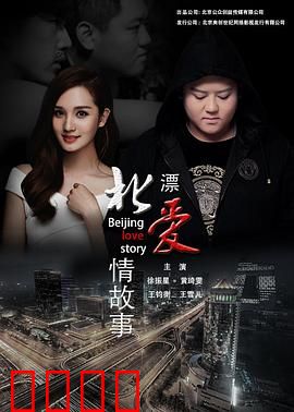 北漂爱情故事2016：梦想与现实的羁绊
