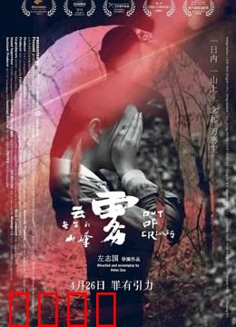 云雾笼罩的山峰：命运交织的悲歌