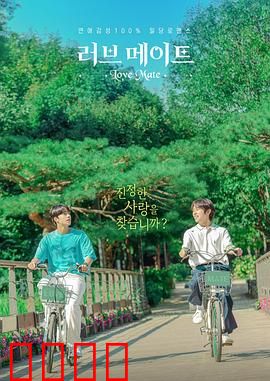 爱情伴侣：虚实之间