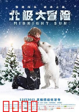 北极大冒险：冰原少年救熊记