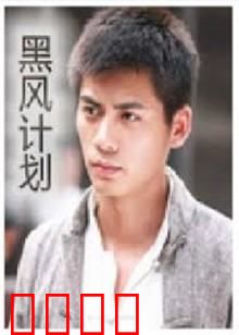 不良英雄：另类救世主