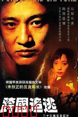 跨国追逃：正义永不缺席