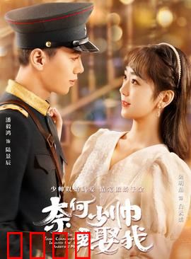 奈何少帅要娶我：桀骜军阀追妻路