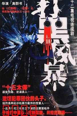 打黑风暴：铁腕除黑