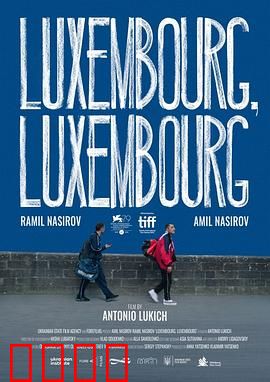 交错卢森堡：命运之门的秘密