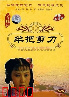 半把剪刀：血泪证言