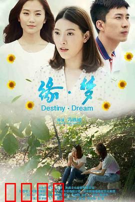 缘·梦：追梦之恋