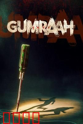 双面线索：镜中迷影