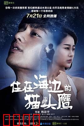 住在海边的猫头鹰：孤独治愈之灯