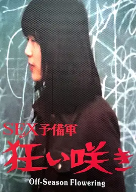 淡季花开：逆境中的坚守