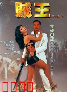 贼王 1995：一代贼王的末路
