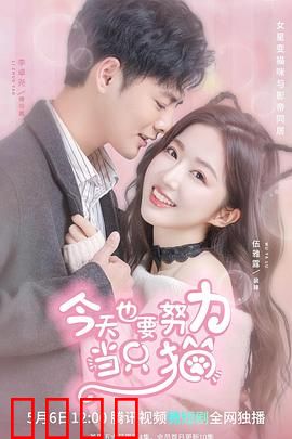 今天也要努力当只猫：猫咪的自我救赎