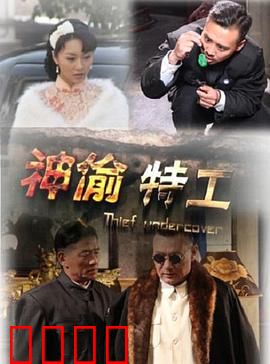 神偷特工：智斗黑帮