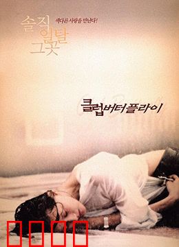 交换温柔：爱在灵魂互换