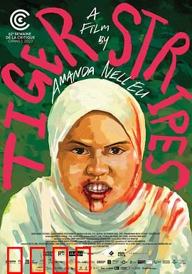 虎纹少女：野性觉醒之路