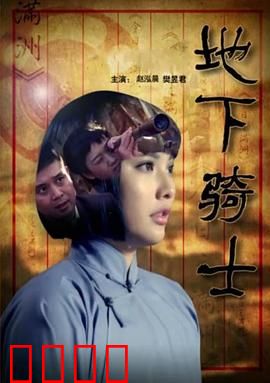 地下骑士：暗影之刃