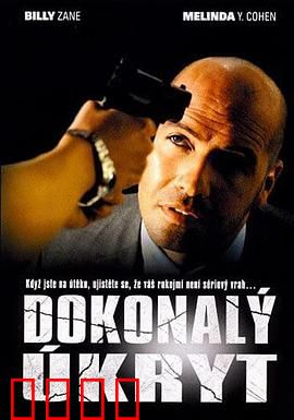 完美隐藏：秘密面具