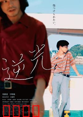 逆光2021：向阳而生