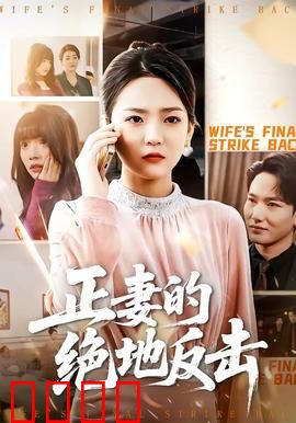 正妻的绝地反击：婚姻保卫战