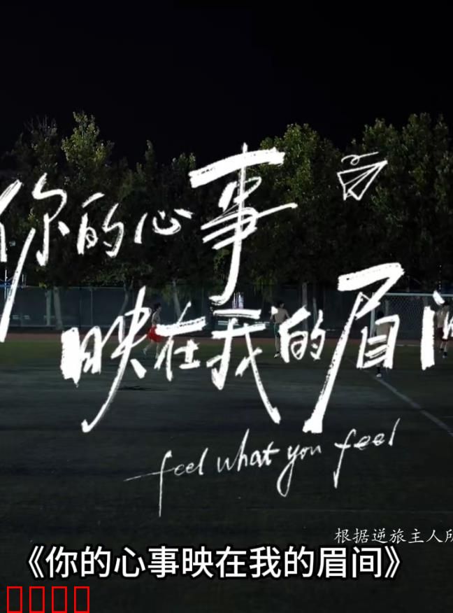 你的心事映在我的眉间：心海迷途