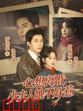 一心想离婚，少夫人她不好惹：霸气回归