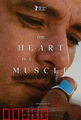 心如肌理：心灵纹理解码者