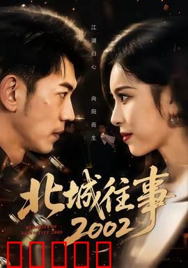 北城往事2002：旧案新谜
